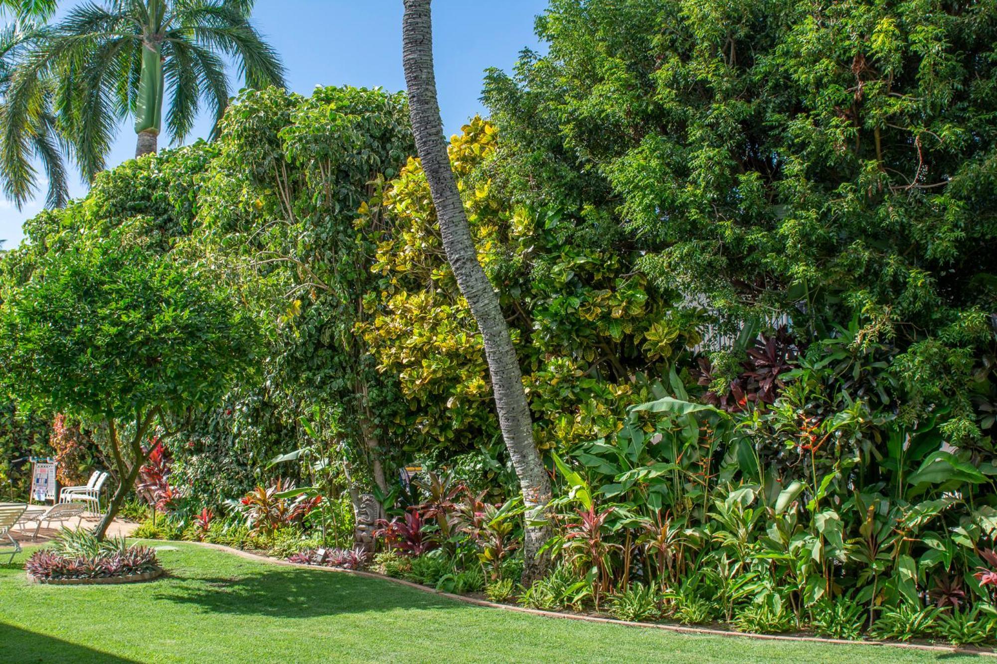 Napili Surf Beach Resort By Castle Kapalua Eksteriør billede